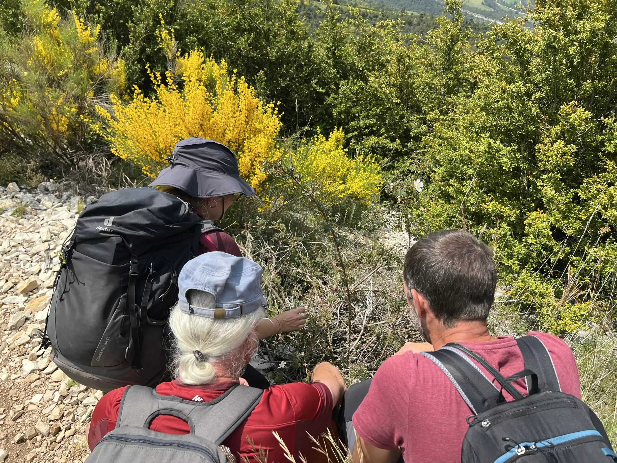 A la rencontre des orchidées sauvages – Image 5