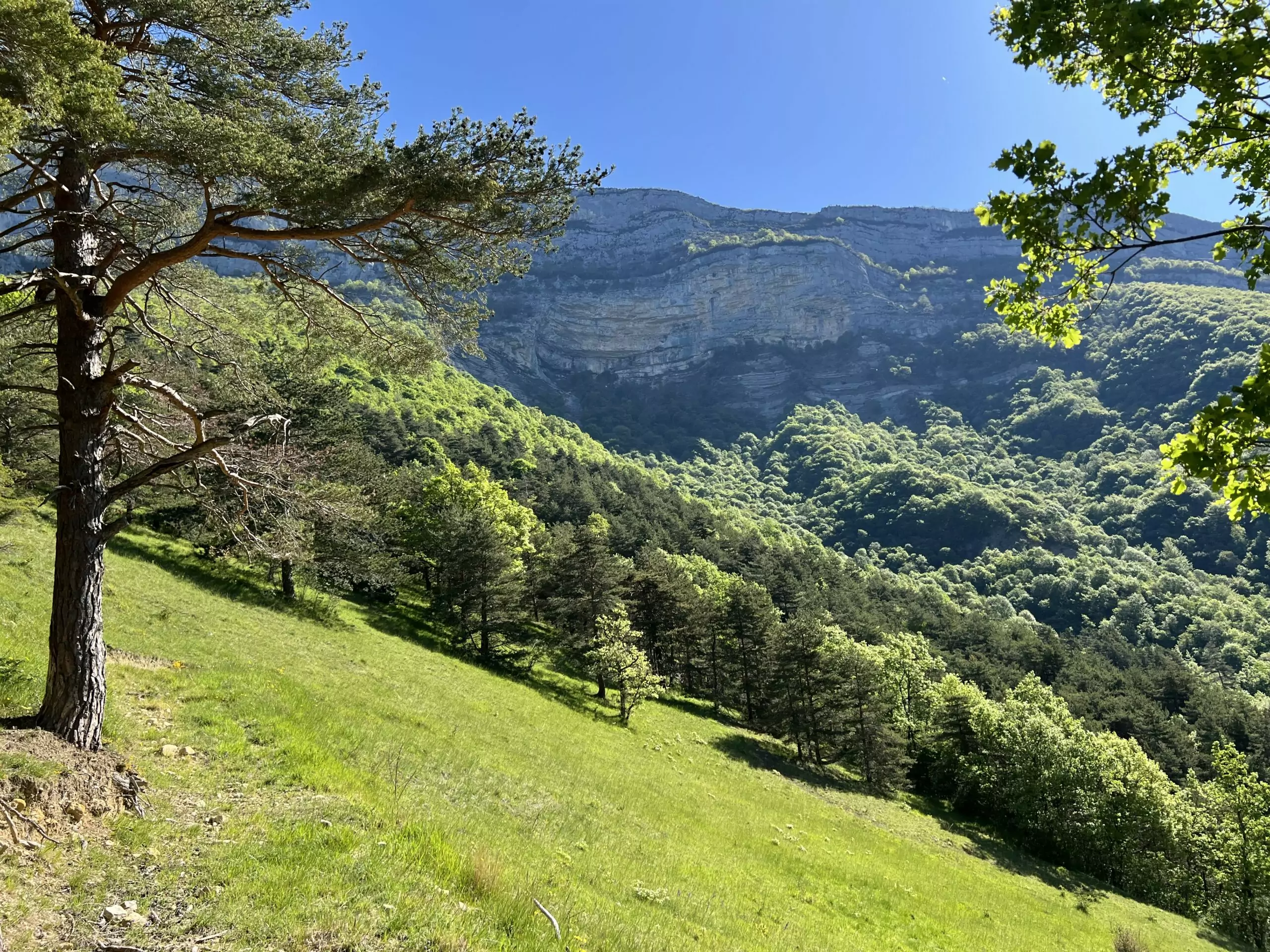 A la rencontre des orchidées sauvages – Image 19